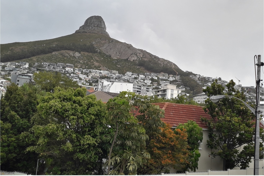 To Let 1 Bedroom Property for Rent in Sea Point Western Cape